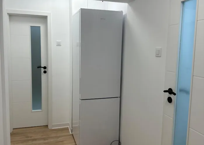 Apartment Oltenitei Comfort *