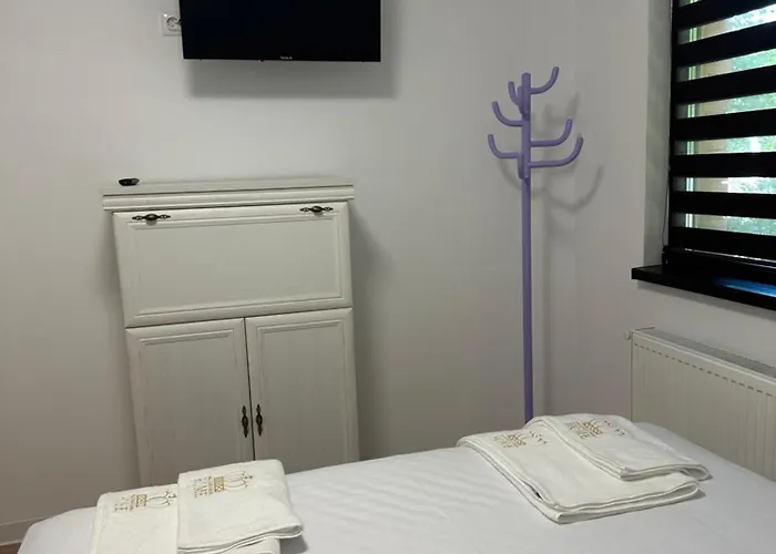 Oltenitei Comfort * Bukurešť